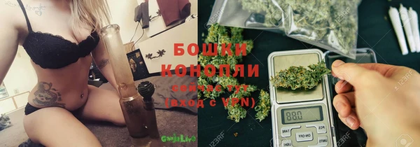 МДПВ Горно-Алтайск
