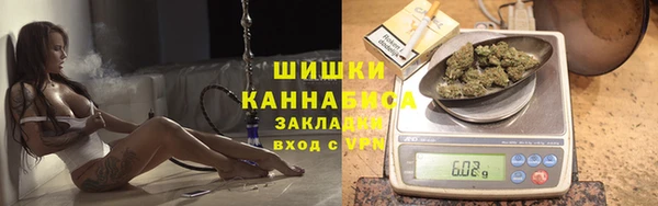 альфа пвп Горнозаводск