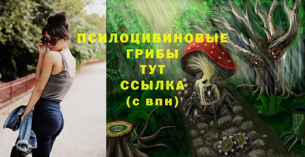 альфа пвп Горнозаводск