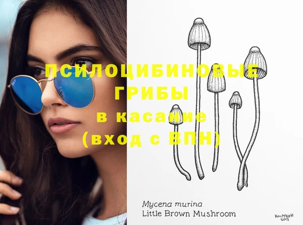 альфа пвп Горнозаводск