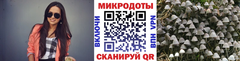 Купить  Нефтекамск  Псилоцибиновые грибы Cubensis 