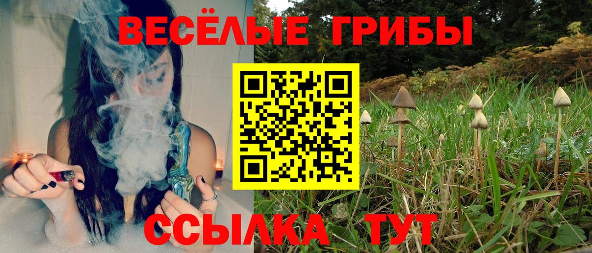 Галлюциногенные грибы Psilocybine cubensis Нефтекамск