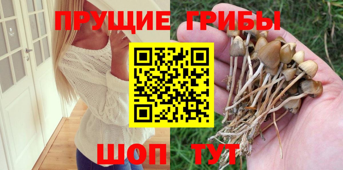 Галлюциногенные грибы прущие грибы Нефтекамск